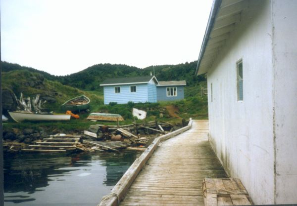 627: Red Island. Looking landward from the government wharf. (1995) [courtesy of Pius Mulrooney]